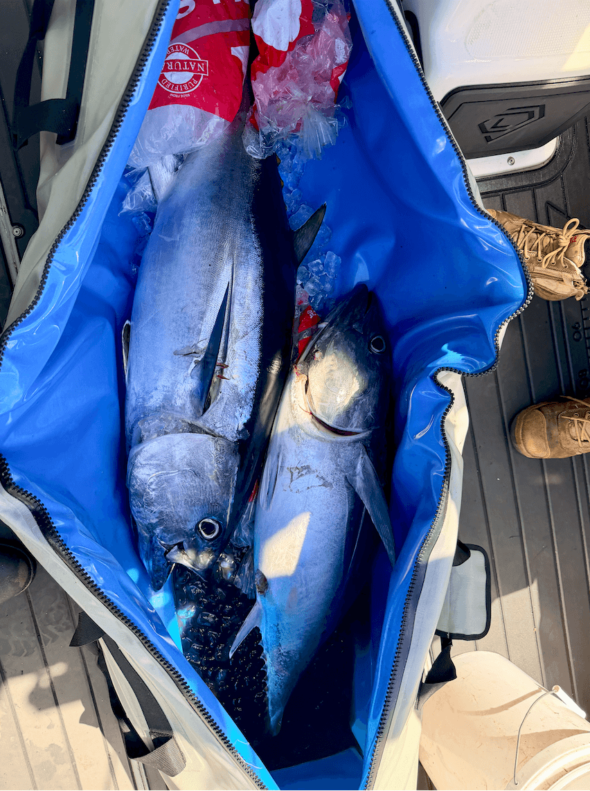 SUPER FISH BAG 150