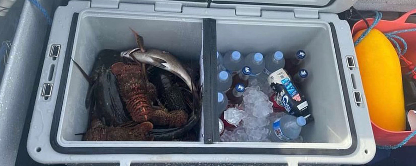Packing Meat and Dairy Safely in a Cooler