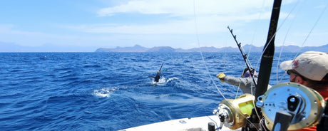 The Best Coolers for Offshore Boating in Australia