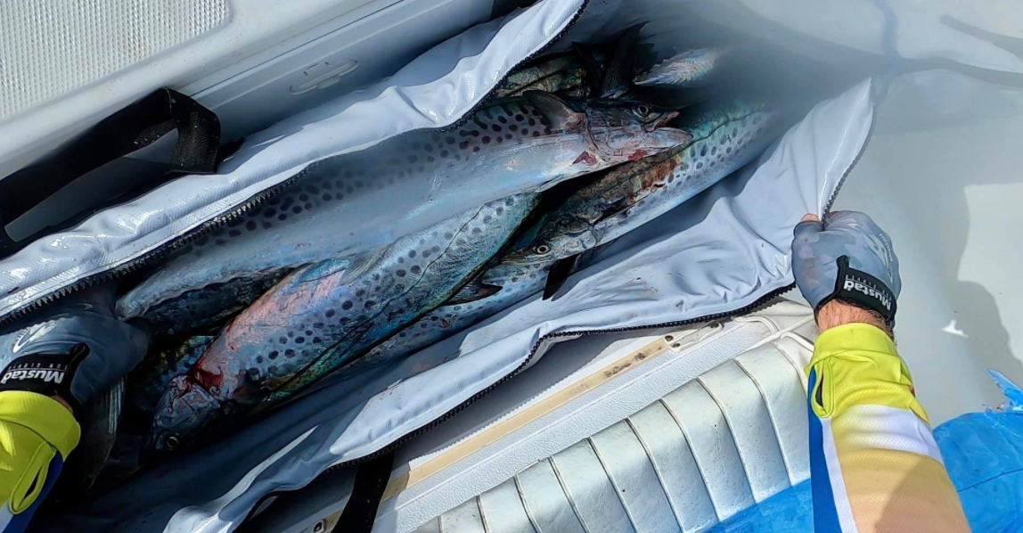 FLAT FISH BAG 100